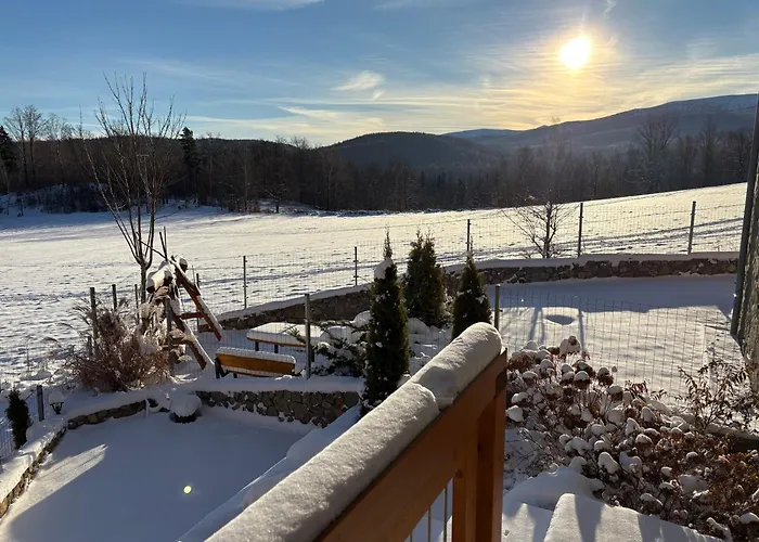 Lägenhet Modern Z Ogrodem *