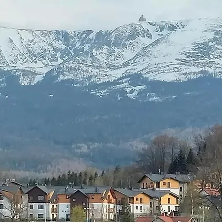 Modern Z Ogrodem 公寓 *