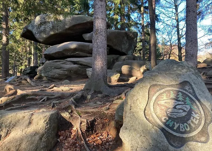 Modern Z Ogrodem 公寓